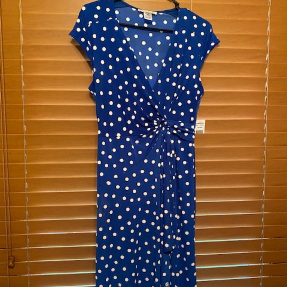 Robbie Bee Blue & White Polka Dot Dress